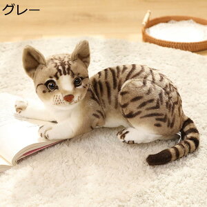 w15-30%OFF ʂ   A 傫 lR Lʂ lR L  j ӂӂʂ LD L  ӂӂ l` v[g rbOTCY 40cm 