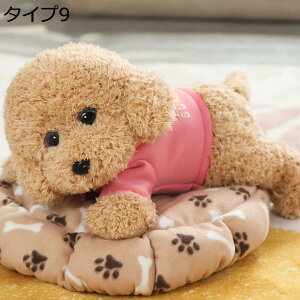  gCv[h ʂ A 傫   l`  ʂ X[p[ʂ A NbV _炩 YQ  C @\ ^Cv w