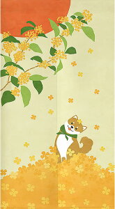 ̂ g 80*120cm  Č [  ς_J[e mp CeA J[ k    hAJ[e Vv x[W 70*100cm ւ 100