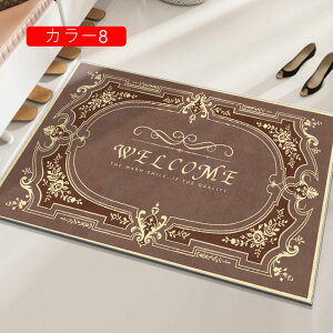 玄関マット 室内 おしゃれ カラー1 カーペット 北欧 洗える 吸水抗菌 ドアマット 滑り止め 40*60cm 防音 泥落としマット 風水 家庭用 浴室 足ふきマット 床マット 大きめ 耐摩耗 丸洗い