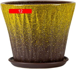 �A�ؔ� �e���R�b�^ 23cm ��񂪐F ������� �������� �� ��� �n�[�u �͔| �~�^ 2�Z�b�g �󂯎M�t�� 06 ���t�� ���|�p�i �t�����[�v�����^�[ ���킢�� �J���C�C ���� �u�� �������