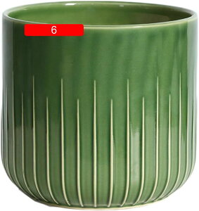 v^[ Aؔ  A  ͔| v[g Mtg ̓ ʔ 17.5*16.5  05 킢 K[fjO r h~ Aؔ 픫 v^[ 5 󂯎Mt