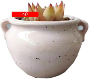 Aؔ 픫 v^[ 5 F ~` t    A 07 CeA  ItBX   ϗtA A 픫  ϗtA A Mt v^[