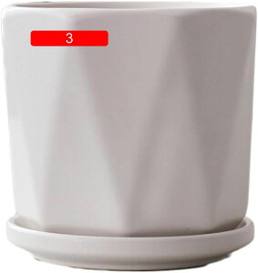 ȐAؔ Aؔ M ȐAؔ  eRb^ fĂ 픫 y z[ItBXfXN̑ v[gpvg rt Aؔ ~`Z~bNAؔ 