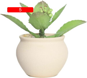 Of[V v^[ F k p[v ϗtA  ȐAؔ  A ~͔ 10  v[g CeA vc|bg T{e   픫 _CjO[