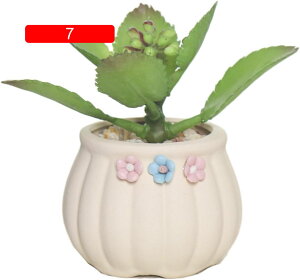 Of[V v^[ F k p[v ϗtA  ȐAؔ  A ~͔ 10  v[g CeA vc|bg T{e   픫 _CjO[