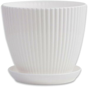 Aؔ vX`bN ϗtA n[u 9*8cm R̔r 5 Op  Of[V͗l Op ^  y  vX`bN ~j 01 Aؔ A