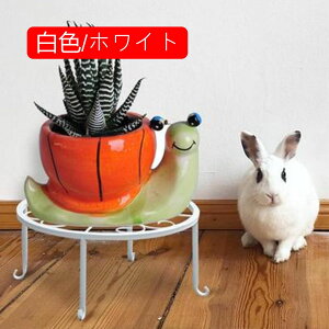 ԑ t[X^h ACA F/zCg O K[fjObN AؔX^h |bN Aؔ   3Zbg ԑAؔX^h  K[fjO ~͒I Ae