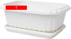 v^[{bNX ^v^[ vX`bN ` lp 02 rtv^[ EbhfR v^[ 33*24.5*13.5CM ؍͔|   ƒ؉ x_̉Ԓd O d