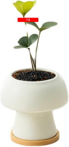   Aؔ 픫 ̌^   v^[ ` F   16 Rei  CeA ϗtA A Op ^  y  Op v^[ [^