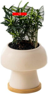 鉢 おしゃれ 植木鉢 陶器鉢 愛の型 室内 小さめ プランター 長方形 F 花 野菜 16 コンテナ 鉢 インテリア 観葉植物 植物 屋内外利用可 中型 おしゃれ 軽量 屋内 屋外用 プランター 深型