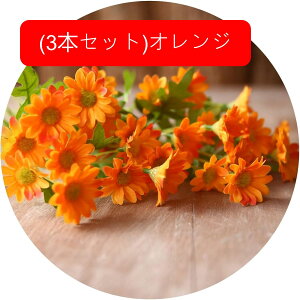 3{Zbg  fCW[ tFCN fCW[̉ԑ u[P ͂Ȃ bsv A[gt[ CeA rO sNjbN e[u   AW I[ig Be v