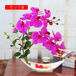 tFCNt[ Ӓ   ԑ ԃZbg u[P A[gt[ ͂Ȃ A ~ LC A CeA rO  u  JXj ̓v[g V