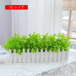 ԃZbg JX~\E Ԃ̉ԑ t lHϗtA LC tFCNt[ u[P ͂Ȃ CeA O ItBX  ʐ^Be  u Vj ̓M