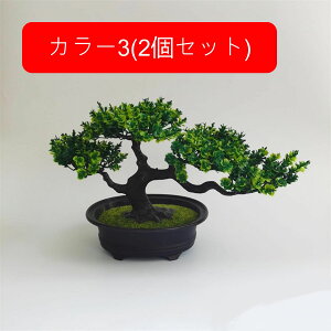 ϗtA  A lHϗtA tFCNO[ { ~ CeA  ItBX X  u ͂Ȃ b炸  JXj Vzv[g 2Zbg