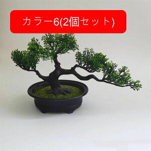 ϗtA  A lHϗtA tFCNO[ { ~ CeA  ItBX X  u ͂Ȃ b炸  JXj Vzv[g 2Zbg