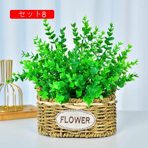 ԃZbg Ԃ̉ԑ ҂ĕt lHϗtA LC tFCNt[ lH [Y/Ђ܂/JX~\Eu[P ͂Ȃ CeA rO  ʐ^Be Vj J