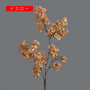 4{ CbN  CeA k  tFCNt[ A ԑ sN A[eBtBVt[ X^CbV { 蕨 v[g ̓ Ȃ JXj