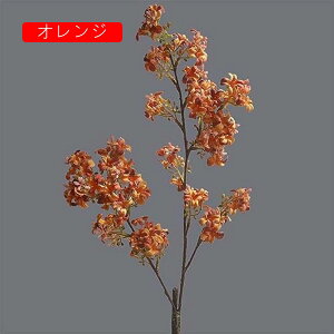 4{ CbN  CeA k  tFCNt[ A ԑ sN A[eBtBVt[ X^CbV { 蕨 v[g ̓ Ȃ JXj