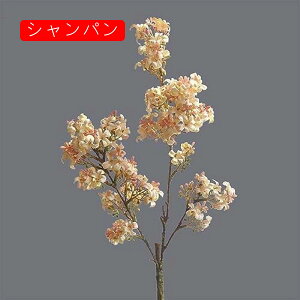 4{ CbN  CeA k  tFCNt[ A ԑ sN A[eBtBVt[ X^CbV { 蕨 v[g ̓ Ȃ JXj