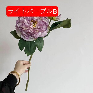 1{ O  ԑ CeA ͂Ȃ Mtg v[g A[gt[  X/iX p[eB[ rO K[fjO Q  p z[ /a ItBX/p[ 