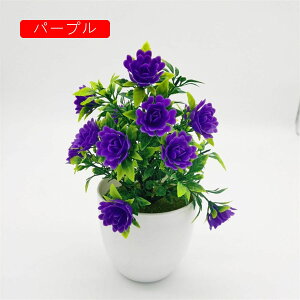 tFCNO[ lHϗtA  [YԔA  ~ CeA ItBX X  u { ͂Ȃ lH Vj ]j p[v