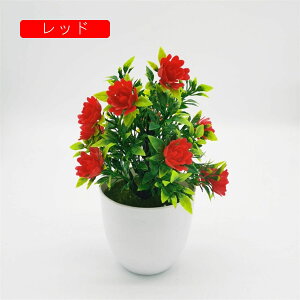 tFCNO[ lHϗtA  [YԔA  ~ CeA ItBX X  u { ͂Ȃ lH Vj ]j p[v