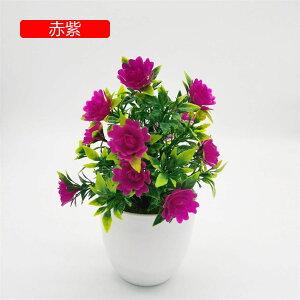 tFCNO[ lHϗtA  [YԔA  ~ CeA ItBX X  u { ͂Ȃ lH Vj ]j p[v