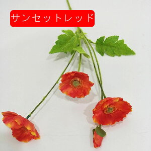  |s[ A[gt[ ͂Ȃ ΃PVԑ A lHA tFCNt[ 2{Zbg EFfBOu[P   u  fR[V CeA Be