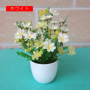 tFCNt[ e lHϗtA A ~   tFCNO[ CeA   p Vzj 蕨 ItBX z[ e[u u H|i