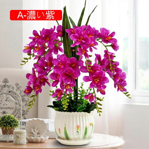  Ӓ Ԃ̉ԑ ԕrt lHϗtA LC tFCNt[ u[P ͂Ȃ CeA ƒ ItBX ʐ^Be  u JXj ̓Mtg Vj v[