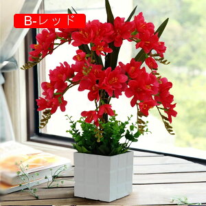  Ӓ Ԃ̉ԑ ԕrt lHϗtA LC tFCNt[ u[P ͂Ȃ CeA ƒ ItBX ʐ^Be  u JXj ̓Mtg Vj v[