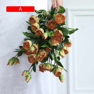  CeA IW 10{ [Y o KN ͂Ȃ A[gt[ ̓v[g Mtg 킢 j   X iX  p[eB[ a ԑ 蕨̉