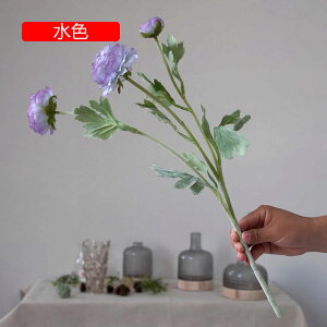  O {^̉ԑ u[P g ͂Ȃ bsv A[gt[ tFCN lH CeA EGfBO e[u AW I[ig Be j v[g 