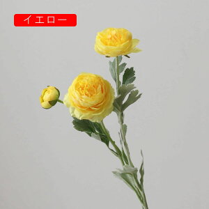  O {^̉ԑ u[P g ͂Ȃ bsv A[gt[ tFCN lH CeA EGfBO e[u AW I[ig Be j v[g 