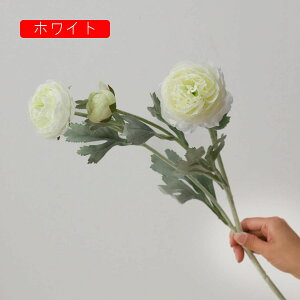  O {^̉ԑ u[P g ͂Ȃ bsv A[gt[ tFCN lH CeA EGfBO e[u AW I[ig Be j v[g 