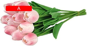 10{Zbg  `[bv  A[gt[ u[P ԑ ̓ ԃMtg ͂Ȃ ʐ^Be j v[g CeA 