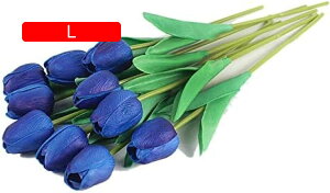 10{Zbg  `[bv  A[gt[ u[P ԑ ̓ ԃMtg ͂Ȃ ʐ^Be j v[g CeA 