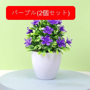 tFCNO[ lHϗtA  vX`bN A  ~ CeA ItBX X  u ͂Ȃ lH JXj Vzj zCg 2Zbg