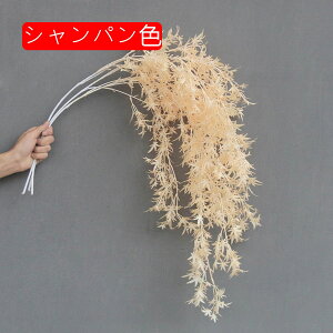  CeA CgVpF ɘCg ͂Ȃ A[gt[ ̓v[g Mtg 킢 j   X iX  p[eB[ a ԑ 蕨̉ l