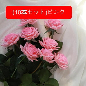  [Y tFCN ỏԑ u[P ͂Ȃ bsv A[gt[ CeA LO ސE ̓ hV̓ v[g j rO EGfBO   AW I