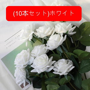  [Y tFCN ỏԑ u[P ͂Ȃ bsv A[gt[ CeA LO ސE ̓ hV̓ v[g j rO EGfBO   AW I