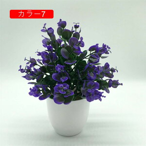 ϗtA  [K A ԃZbg lHϗtA tFCNO[ { ~ CeA  ItBX X   u ͂Ȃ b炸  蕨 v[