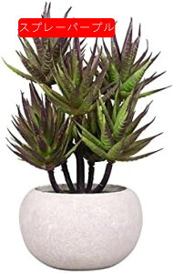 lHϗtAAGxt[c{[pvAgݍ킹fXNgbvlHAvX`bNt[O[vgԃV~[V~́AXv[IW