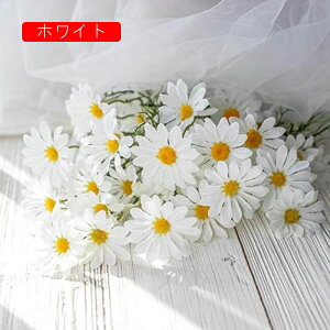  CeA J~[ fCW[ ͂Ȃ A[gt[ ̓v[g Mtg 킢 j   X p[eB[ ԑ iX lHϗtA a  蕨