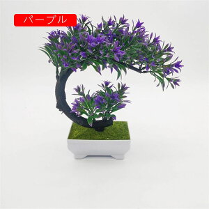 lHϗtA tFCNO[ ~j  A { 21cm*20cm ~ CeA ItBX X  u ͂Ȃ b炸  JXj ]j v[