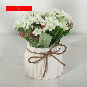  ~ A ƒ/rO/|[`/_CjOe[u/z[/EFfBO/p[eB[/ItBX/Q/zep ԕrt tFCNt[  lHA zj ̓v[