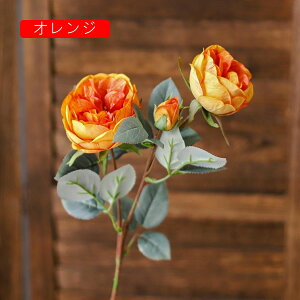  [Y tFCNt[ ỏԑ u[P ͂Ȃ Y }eBbN A[gt[ CeA LO o^C v[g j rO EGfBO   A