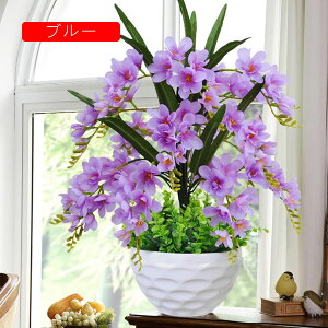 Ӓ  CeA Ԃ̉ԑ t ϗtA LC tFCNt[ u[P ԃZbg ͂Ȃ tFCNO[ rO ItBX ze  u ʐ^Be V