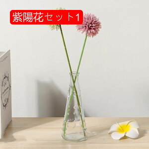  [Y tFCNt[ ỏԑ u[P KXԕrt ͂Ȃ Y ins A[gt[ CeA LO ̓ v[g j rO    AW B